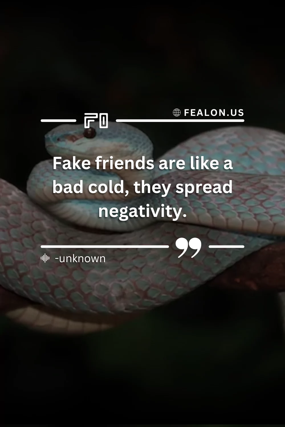 Two-faced betrayal fake friends quotes